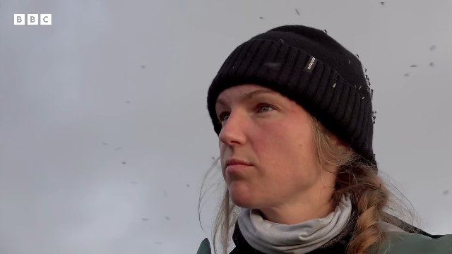 Incredible Wolf Moments _ BBC Earth Thumbnail