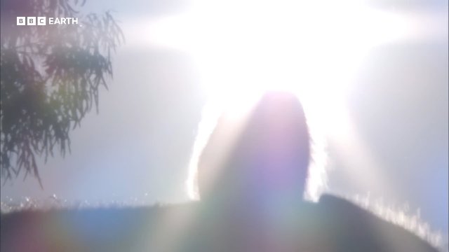 How Do Kangaroos Survive Extreme Heat_ _ 20 Years of Planet Earth _ BBC Earth Thumbnail